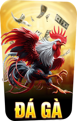 đá gà hm88